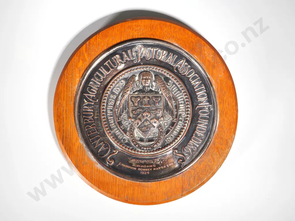 Canterbury A&P Association Award For Champion Romney Marsh Ewe, 1924. Image 1++