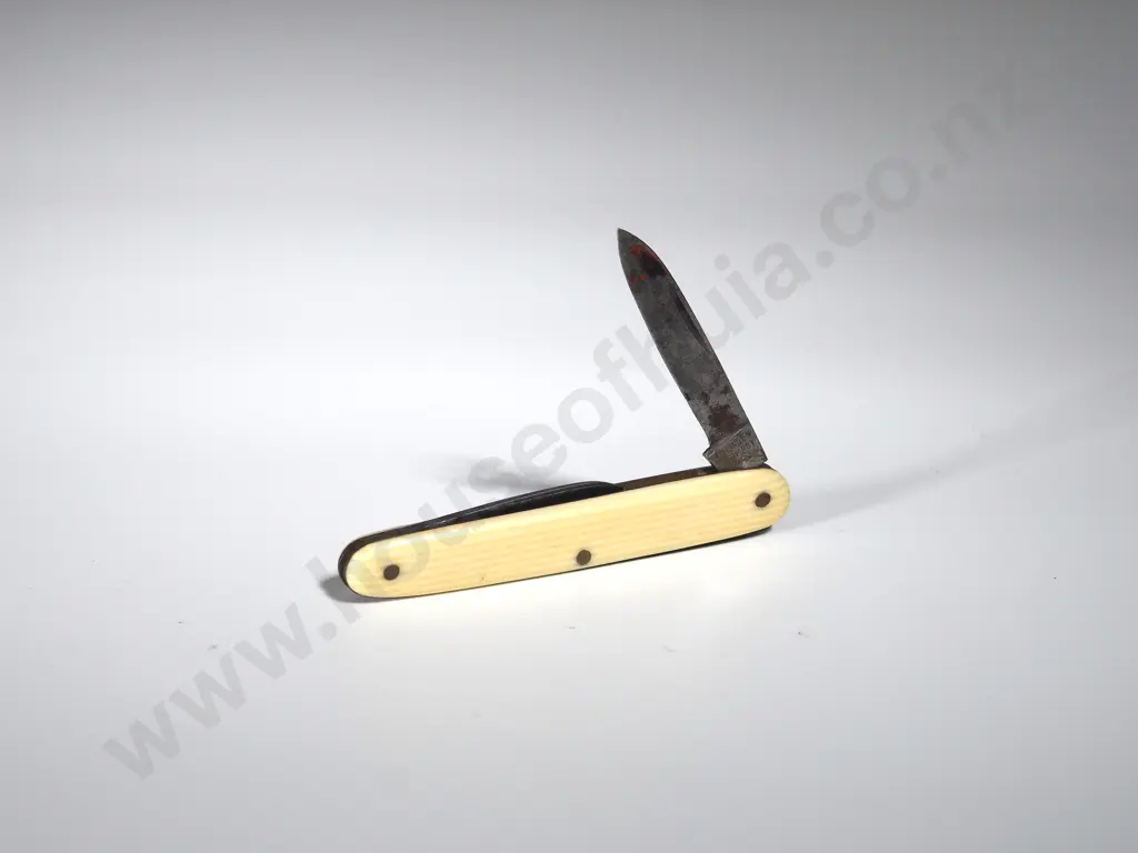 Antique Ivory Pocket Knife Image 1++