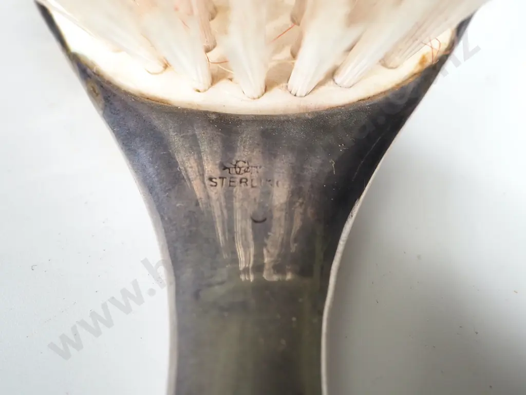 Cased Sterling Silver Hair Brush Image 1++