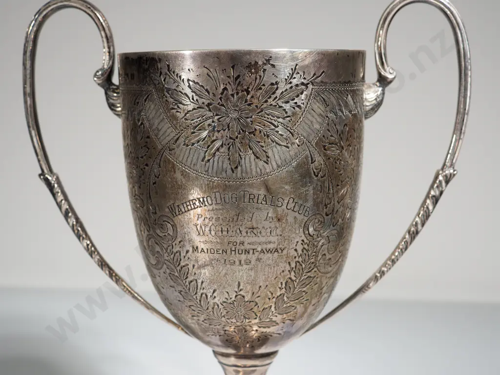 Sterling Silver Waihemo Dog Trial Trophy Image 1++