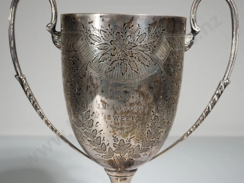 Sterling Silver Waihemo Dog Trial Trophy Image 1++