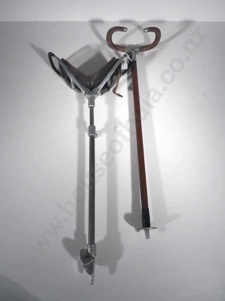 Two Shooting Walking Sticks  Image 1++