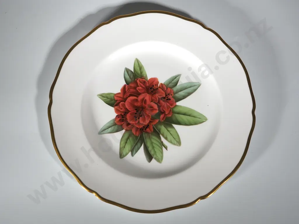 Rhododendron Plate by Spode Image 1++