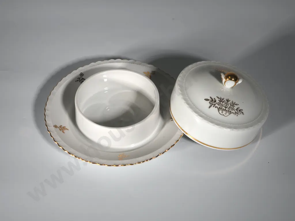 Covered Czech Porcelain Serving Dish Image 1++