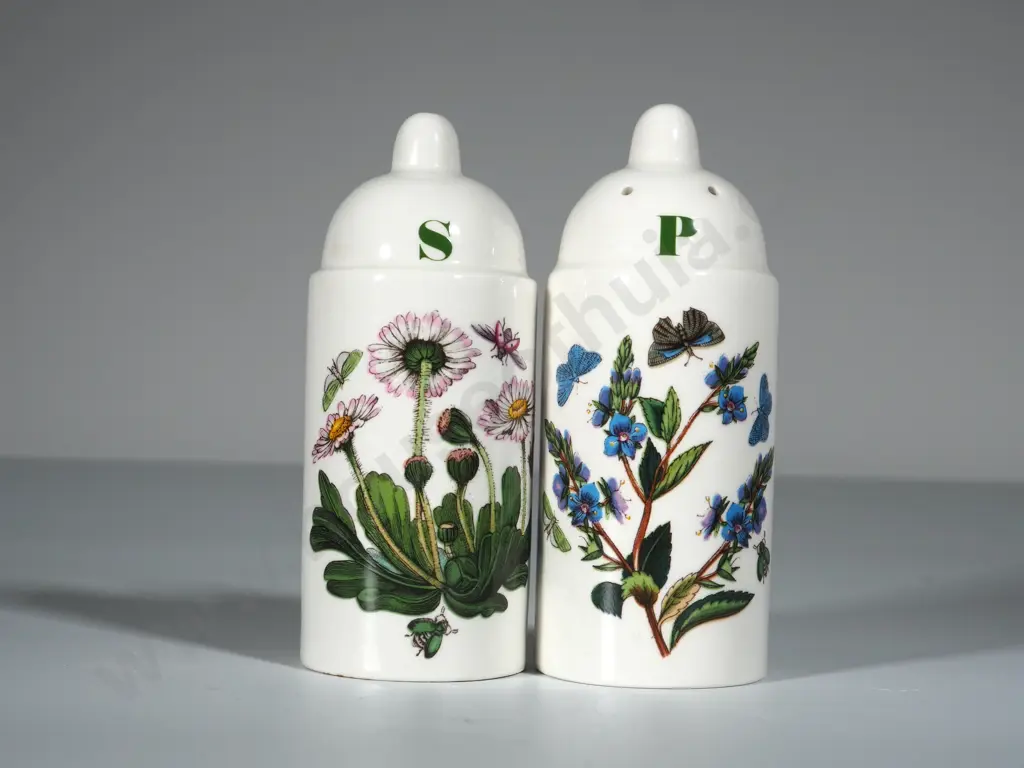 Salt & Pepper Shakers Portmeirion (Umarked) Botanica Image 1++