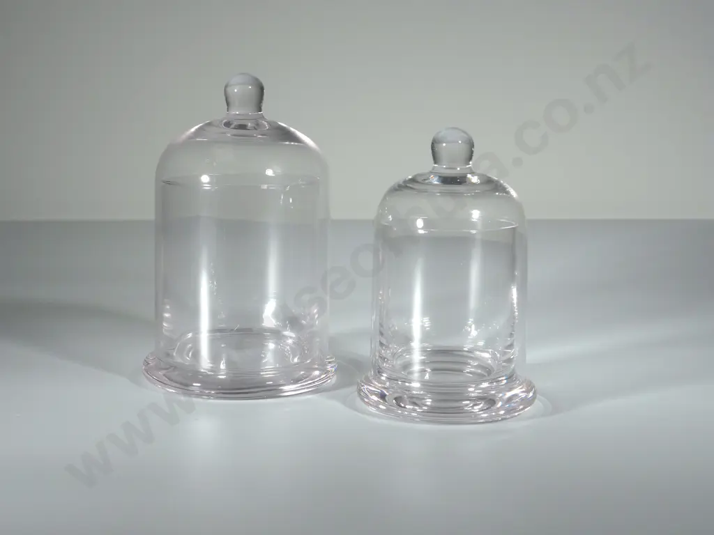 Two Glass Domes Image 1++