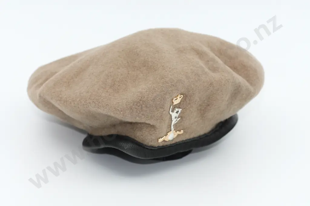 Royal Signals Sand Coloured Beret + RNZSigs cap badge Image 1++