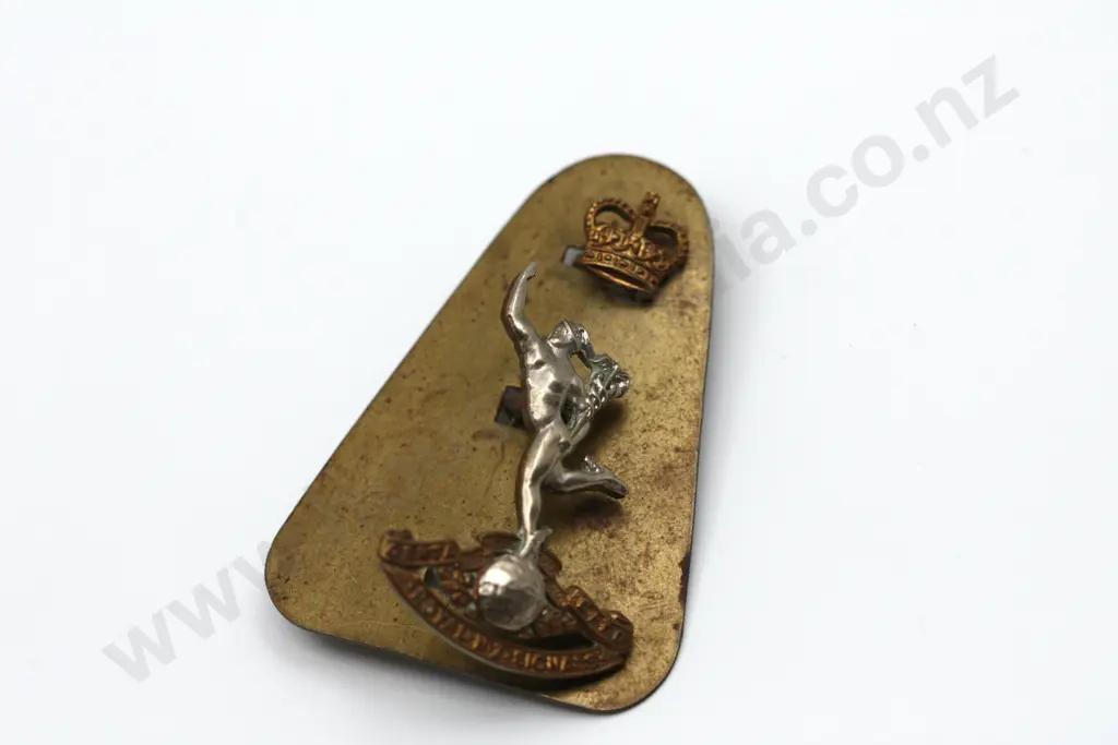 Royal Signals Sand Coloured Beret + RNZSigs cap badge Image 1++