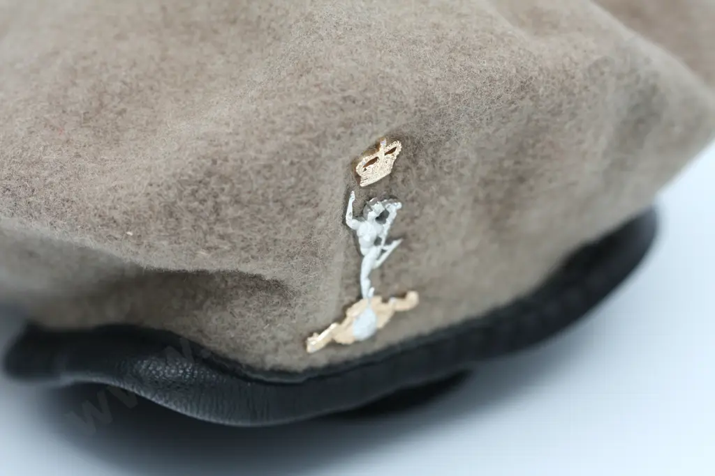 Royal Signals Sand Coloured Beret + RNZSigs cap badge Image 1++