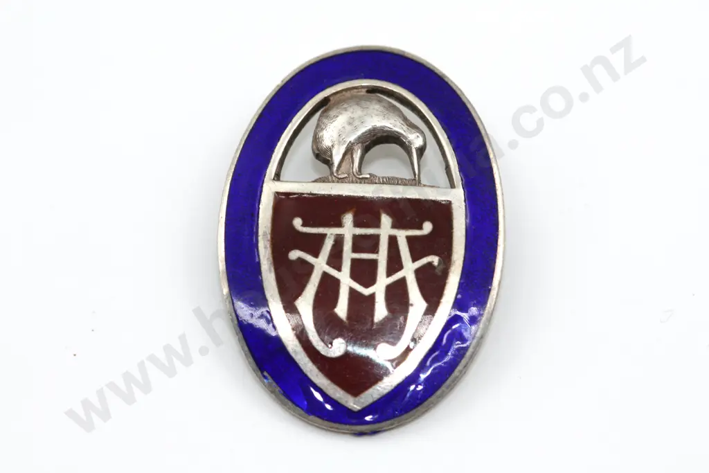 3471 P W Patterson 1940 Nurse Badge Image 1++