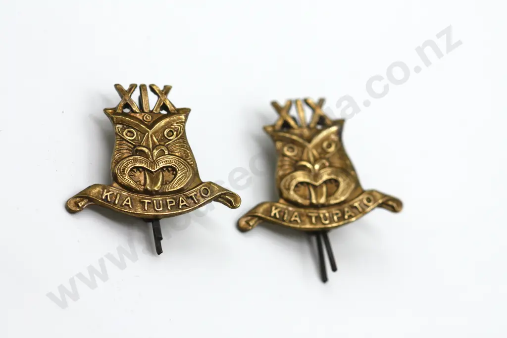 WW1 NZ 19th Reinforcements Collar Badges (2) Image 1++