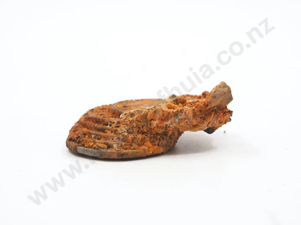 Cluster of Coins from the Elingamite Ship Wreck Image 1++