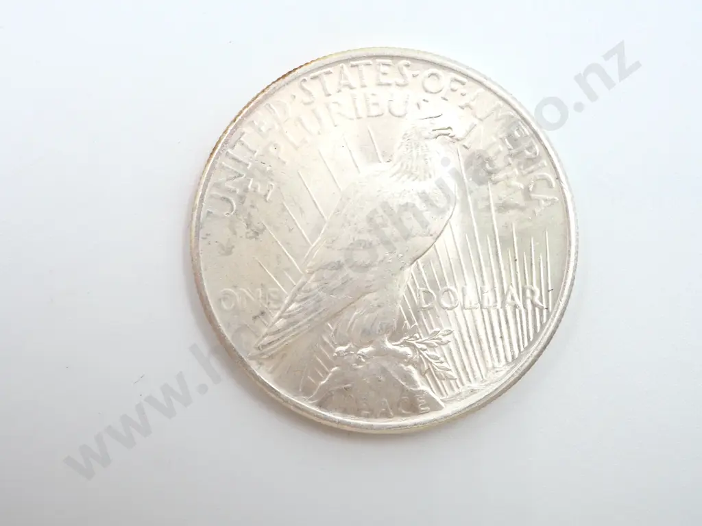 1925 United States of America Liberty Dollar: Better Grade Image 1++