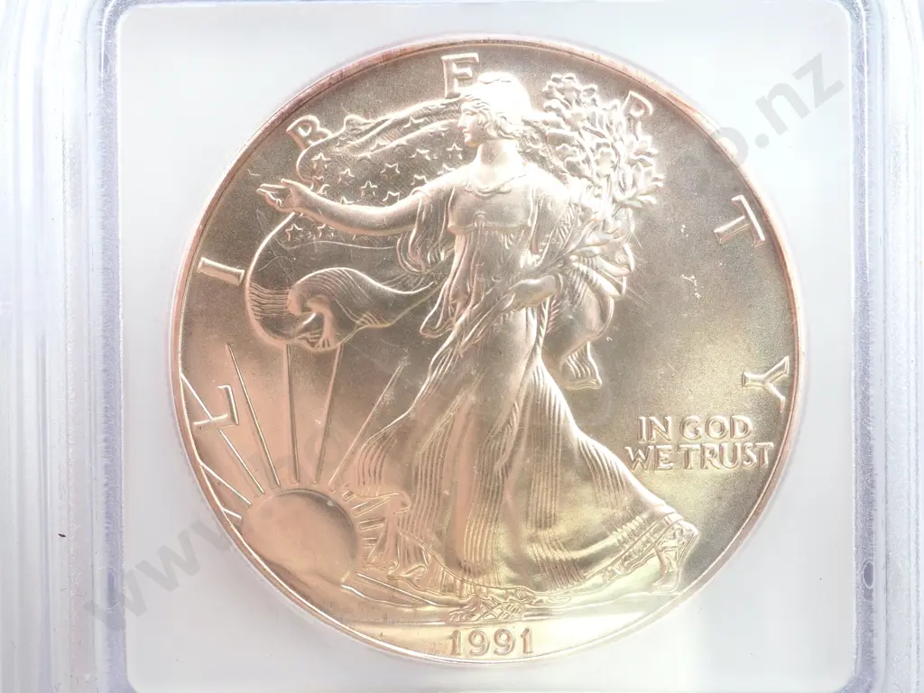 1991 United States of America MS69 Silver Eagle Image 1++