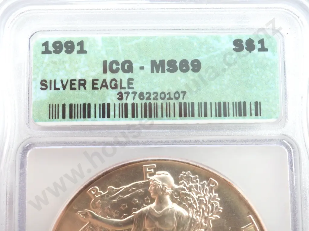 1991 United States of America MS69 Silver Eagle Image 1++