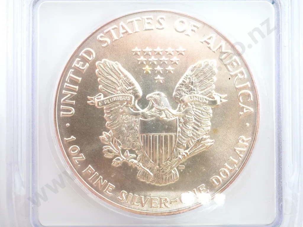 1991 United States of America MS69 Silver Eagle Image 1++