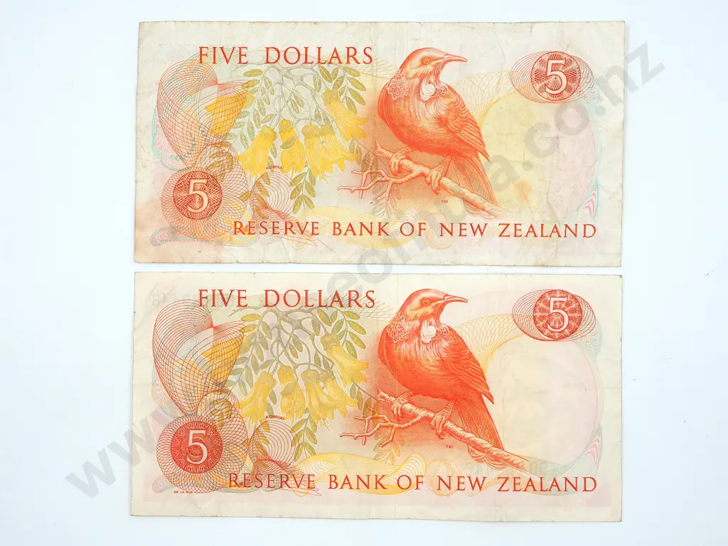 Two New Zealand Five Dollar Banknotes Image 1++