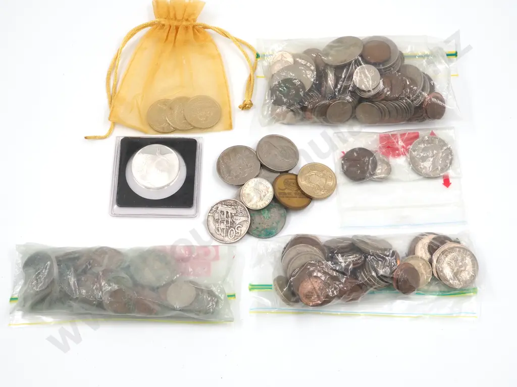 1.463 KGs of Assorted New Zealand & International Coinage Image 1++
