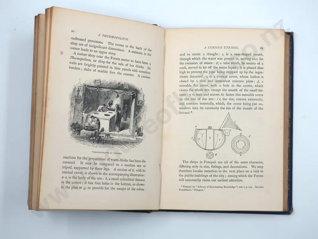 The Buried Cities of Campania: W H Davenport Adams 1873  Image 1++