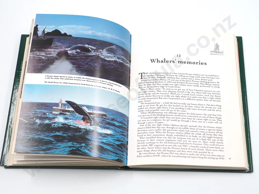The Perano Whalers of Cook Strait (1911 - 1964): Don Grady Image 1++