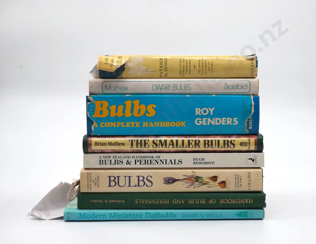 Lot of Eight Books on Bulbs Image 1++
