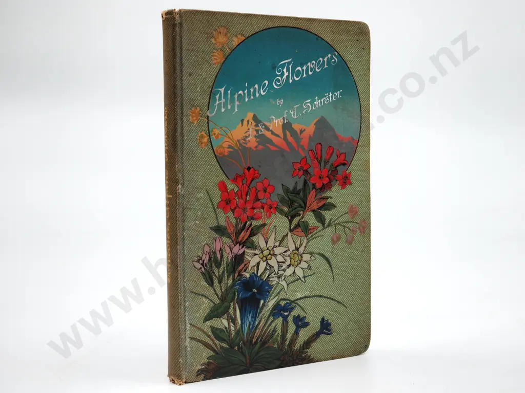 Alpine Flowers : L & Prof. G. Schroter Image 1++