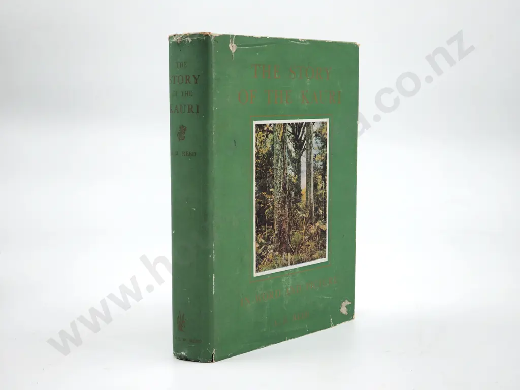 The Story of the Kauri: A Reed  Image 1++