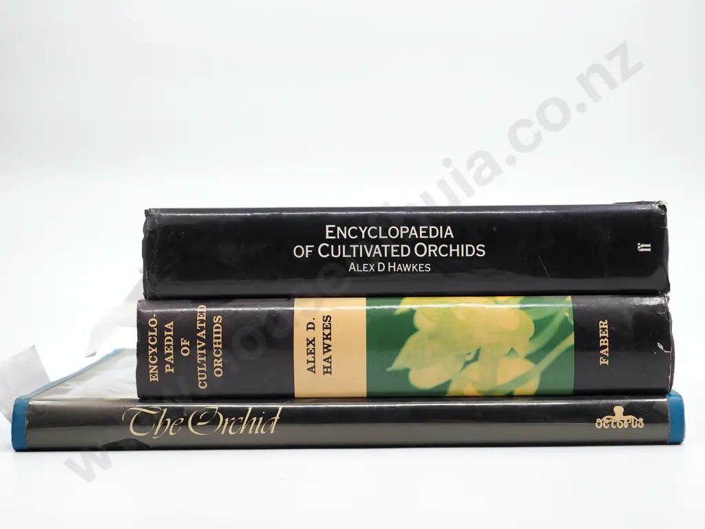 Lot of Three Large Books on Orchids Image 1++