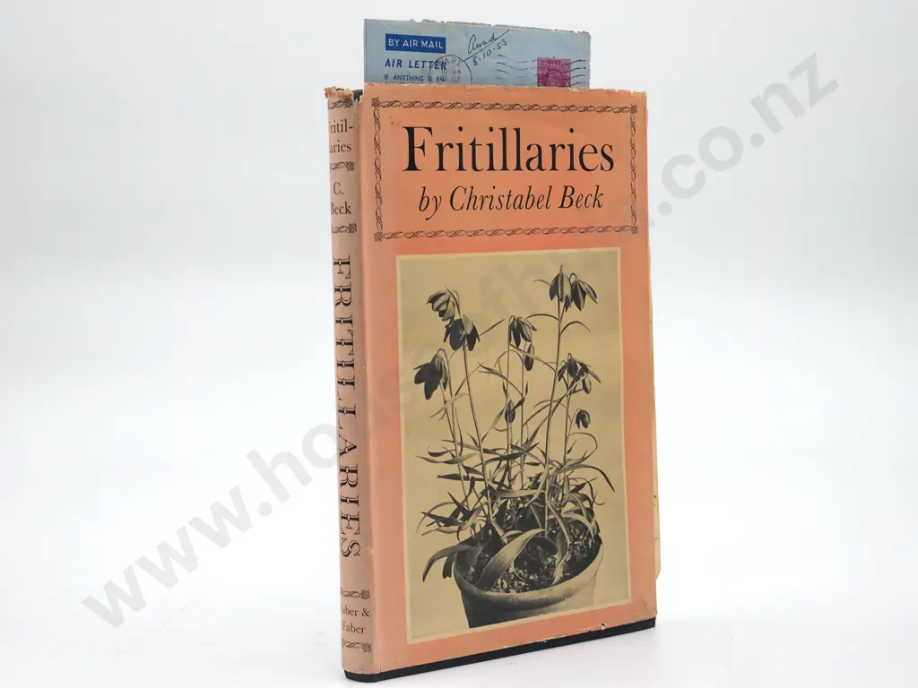 Fritillaries: Christabel Beck ( Includes letters about Growing Fritillaries in New Zealand ) Image 1++
