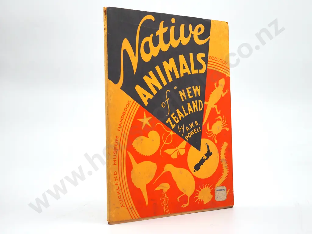 Native Animals of New Zealand: A W B Powell Image 1++