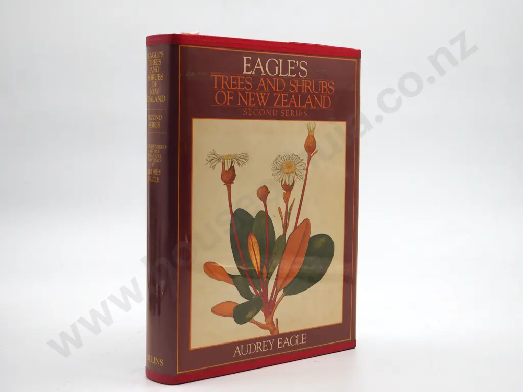 Eagle's Trees and Shrubs of New Zealand, Second Series : Audrey Eagle Image 1++