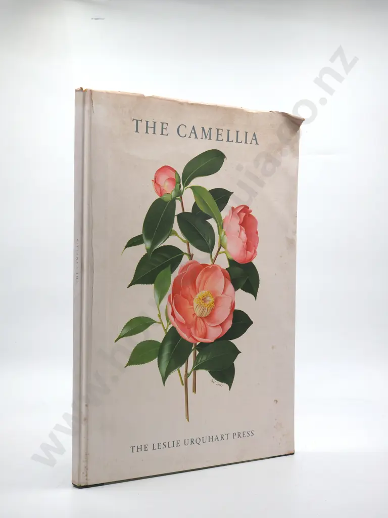 The Camelia : The Leslie Urquhart Press - Very Large Book Image 1++