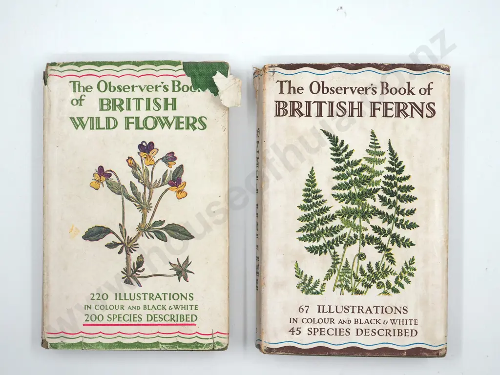 Pair of the Observer's Books of British Ferns and British Wild Flowers Image 1++