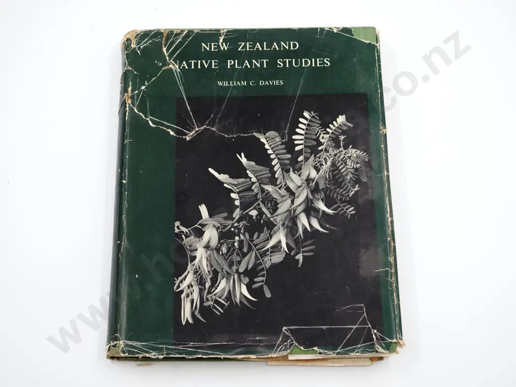 New Zealand Native Plant Studies : William C. Davies Image 1++
