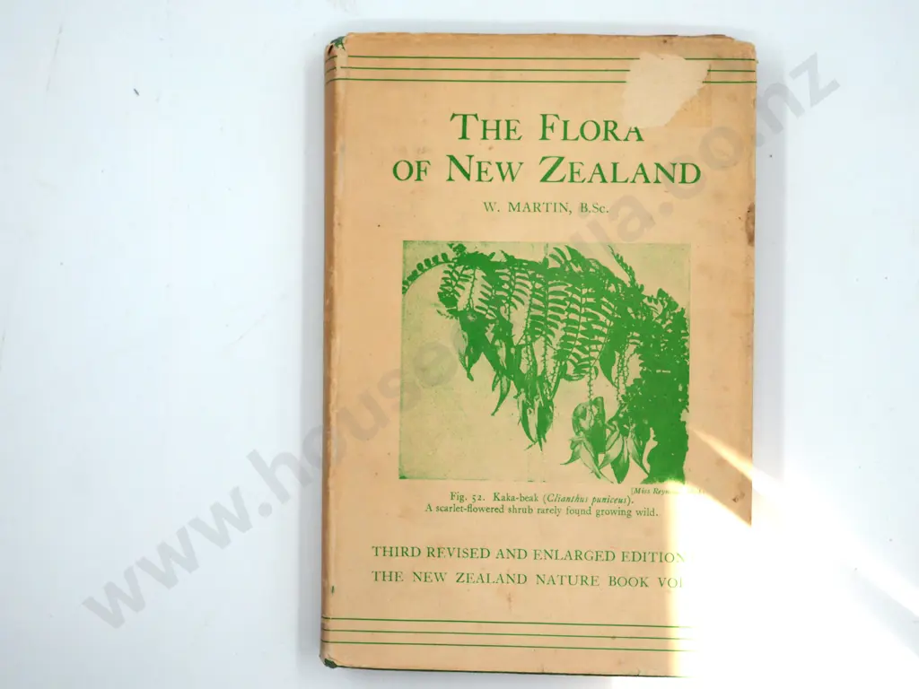 The Flora of New Zealand : W. Martin Image 1++