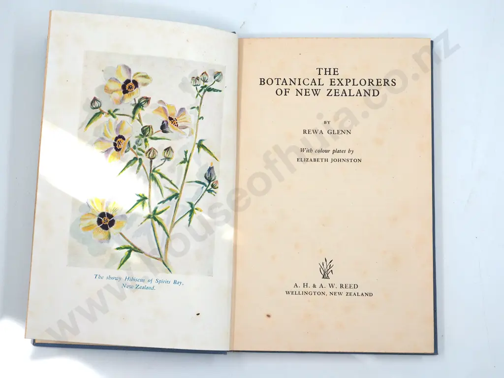 The Botanical Explorers of New Zealand : Rewa Glenn Image 1++