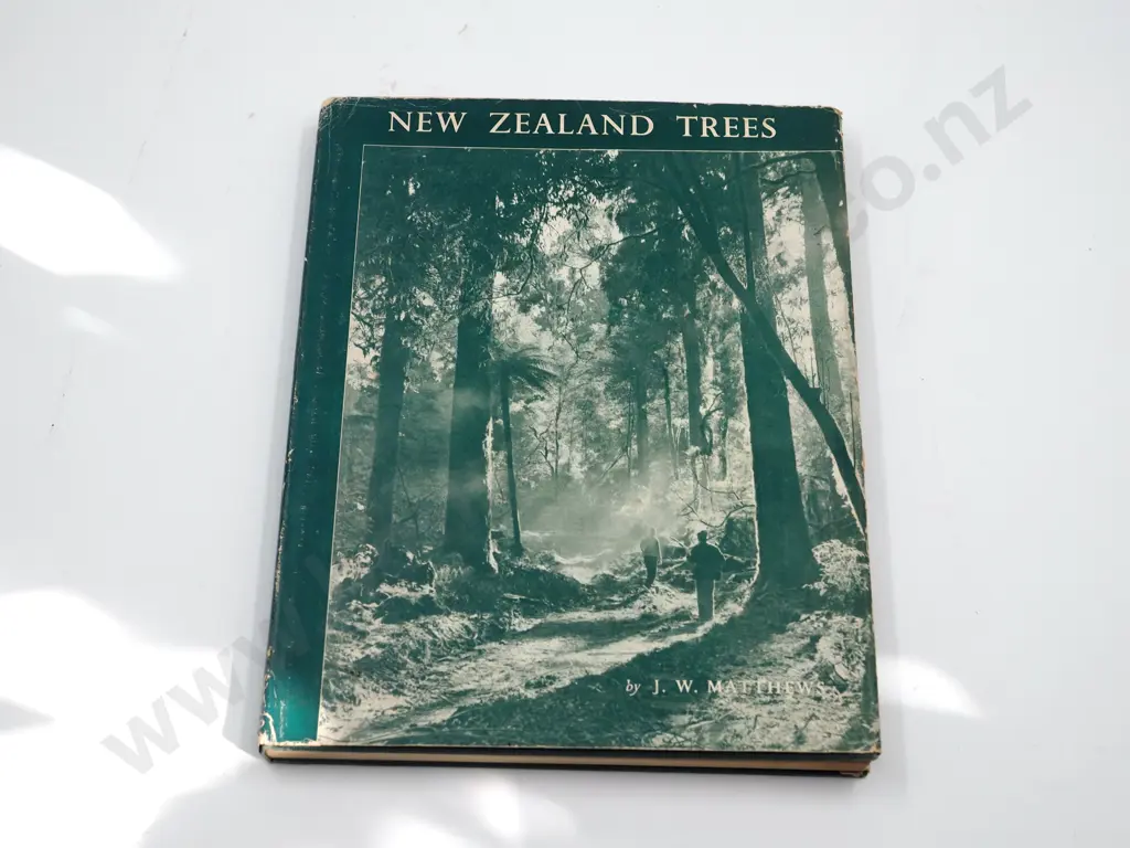 New Zealand Trees : J. W. Matthews Image 1++
