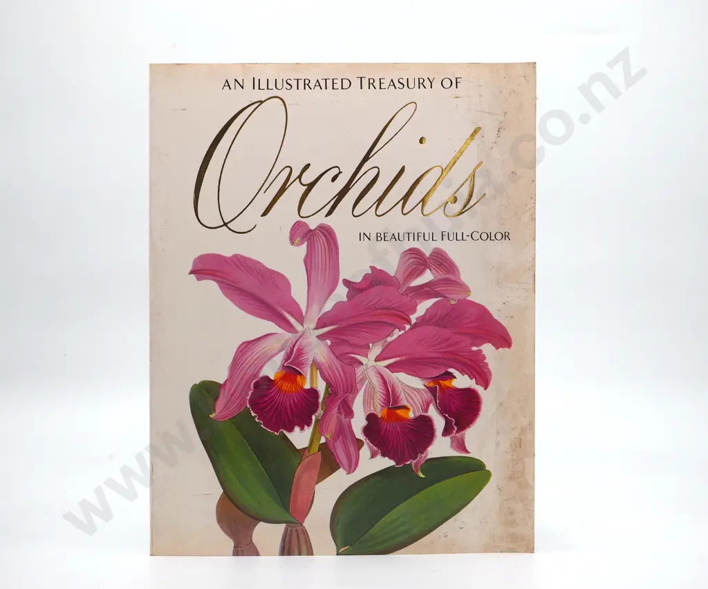 An Illustrated Treasury of Orchids in Full Colour : Frank J. Anderson Image 1++