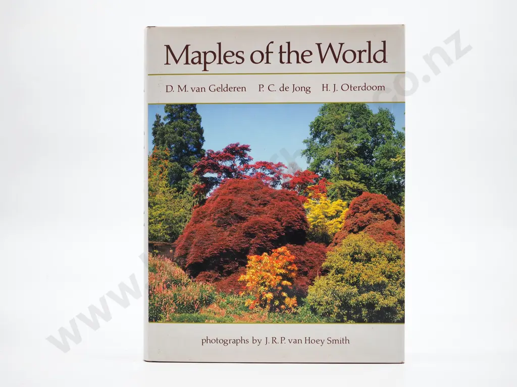 Maples of the World : D. M. van Gelderen, P. C. de Jong & H. J. Oterdoom Image 1++