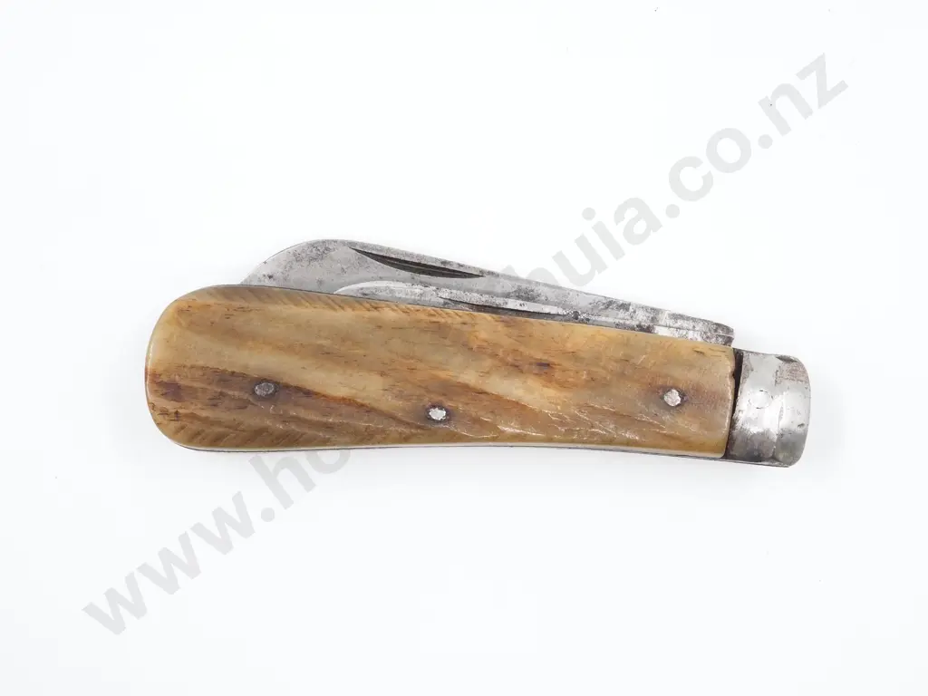 Antique Bone Handled Pocket Knife Image 1++