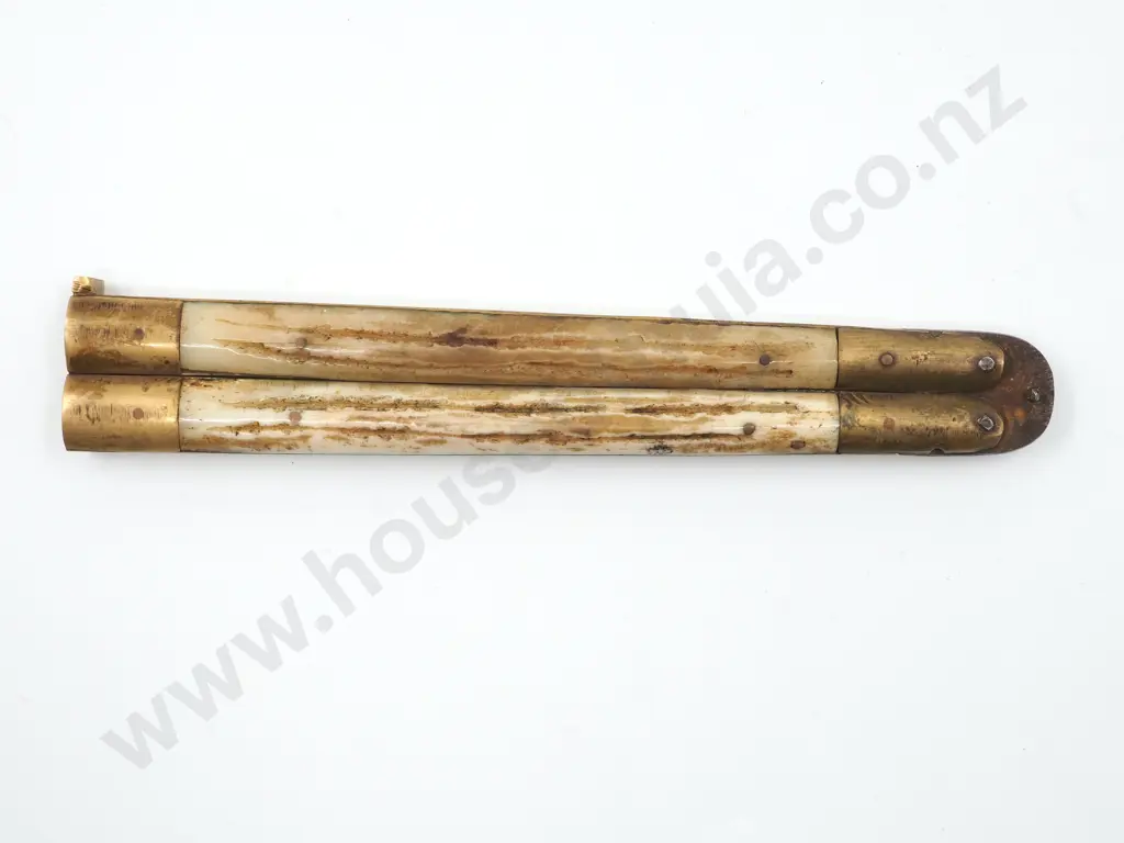 Vintage Bone Handled Opening Knife Image 1++