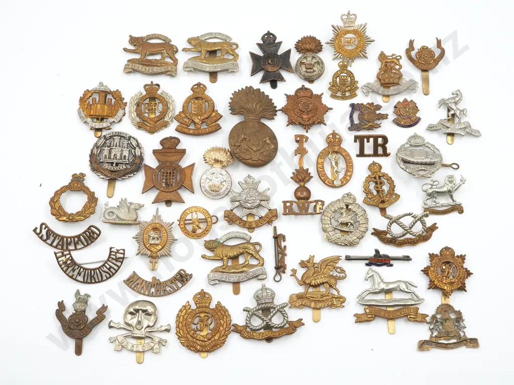 Large Assorted Lot of English Cap & Collar Badges Image 1++