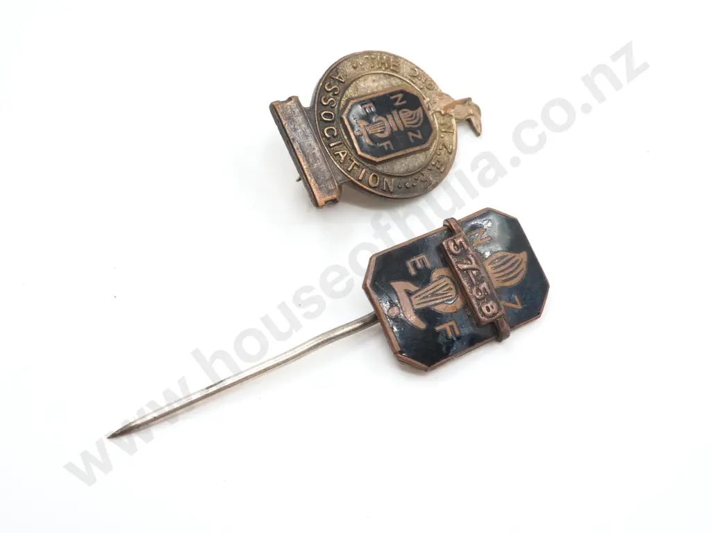 Two Early 2NZEF Association Pins  Image 1++