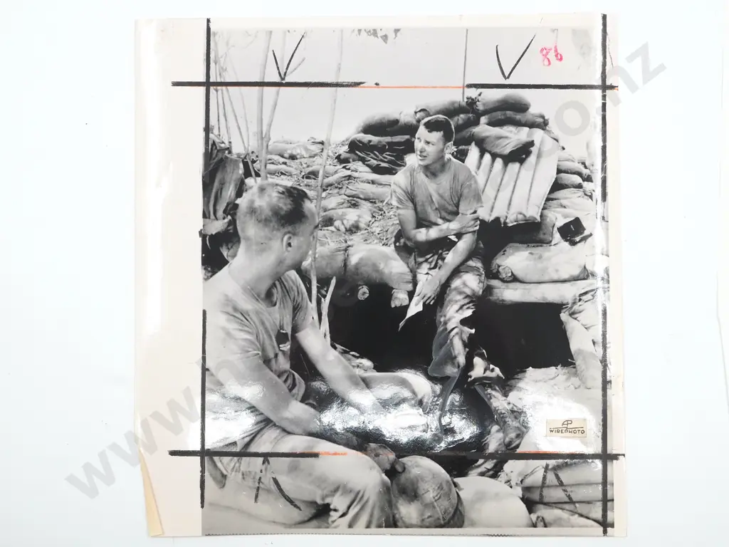Vietnam War Chicago Tribune Official Photograph w Certificate of Authenticity Image 1++