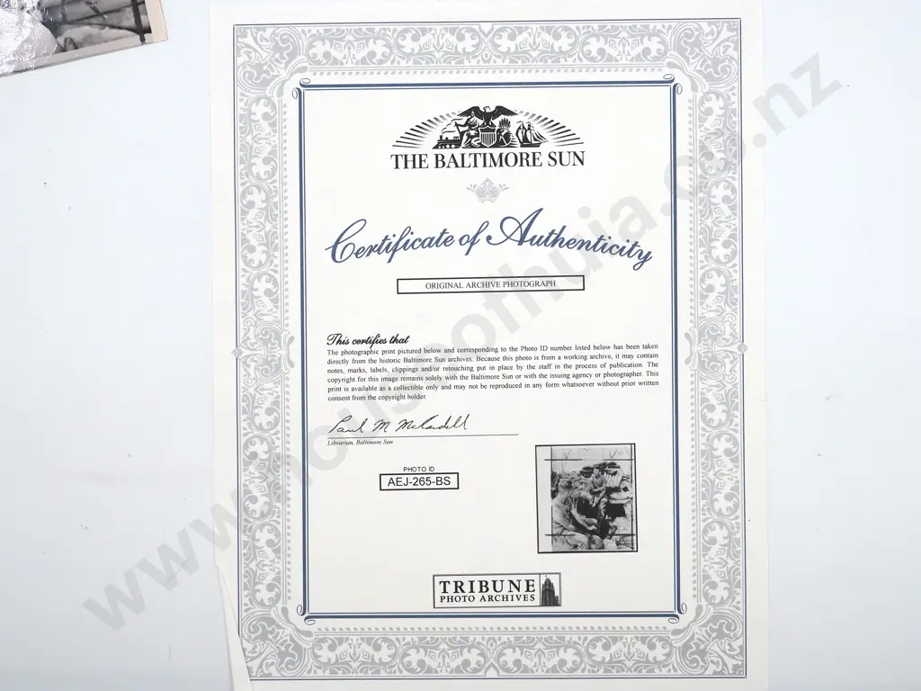 Vietnam War Chicago Tribune Official Photograph w Certificate of Authenticity Image 1++