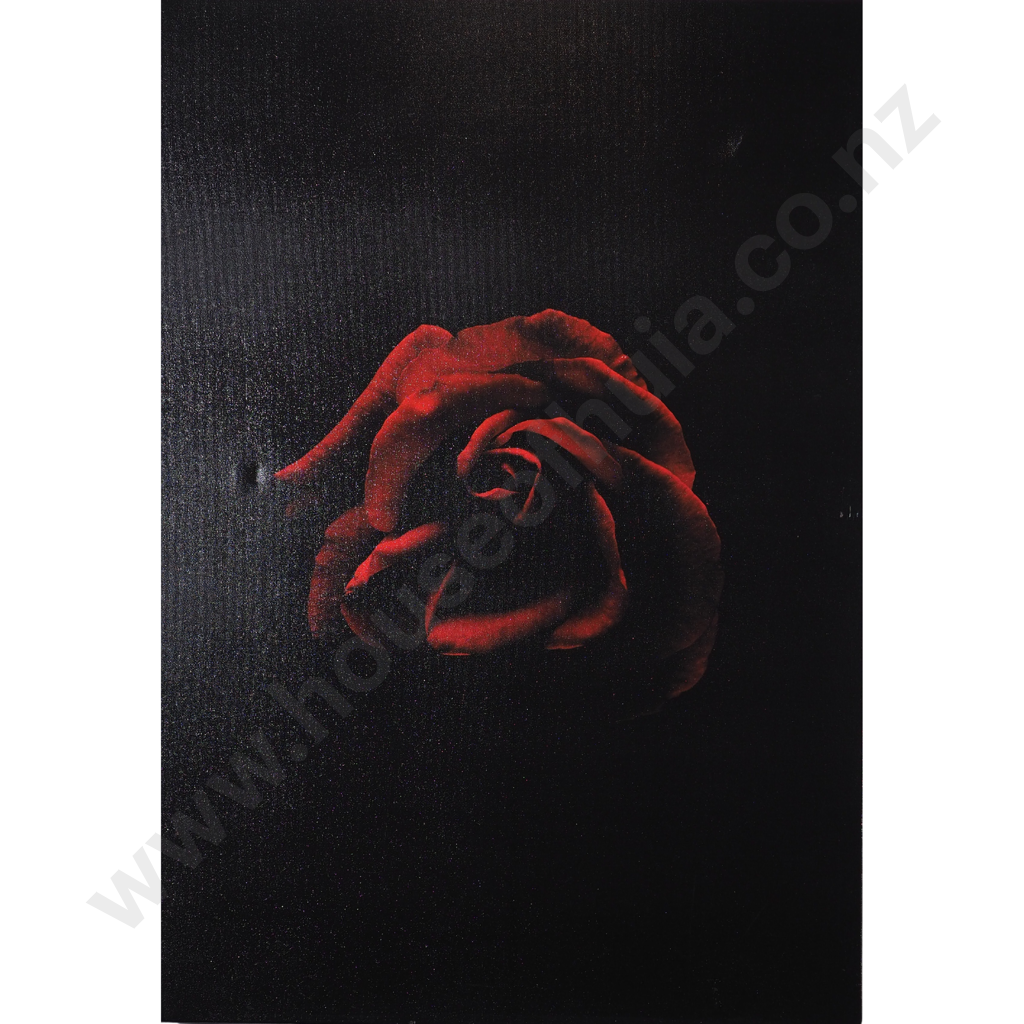 Kieran E Scott: Photo of Rose Giclée Print on Canvas Image 1++