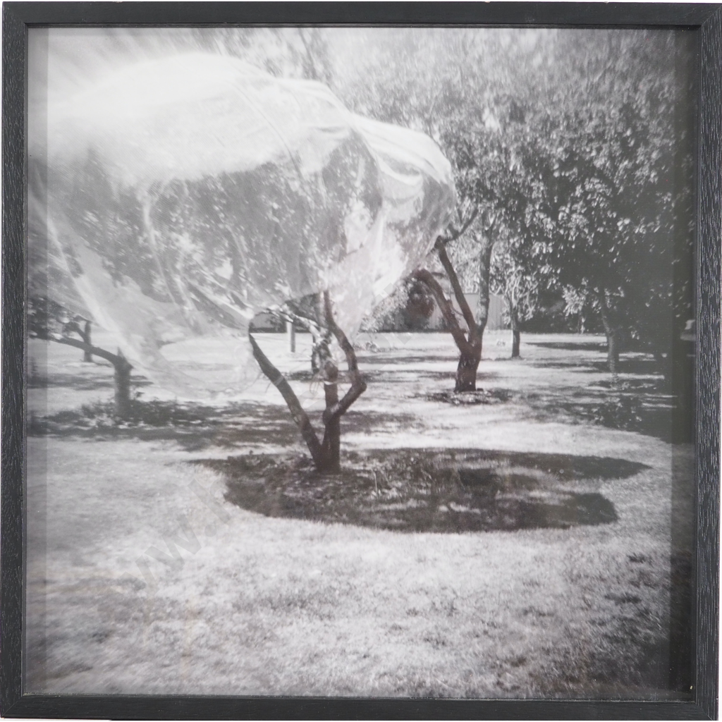 Holly Best: Photograph Image 1++