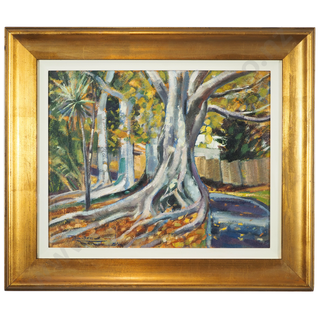 Russell Hollings: 'Ficus Macrophylla' Morton Bay Figs Western Park Image 1++