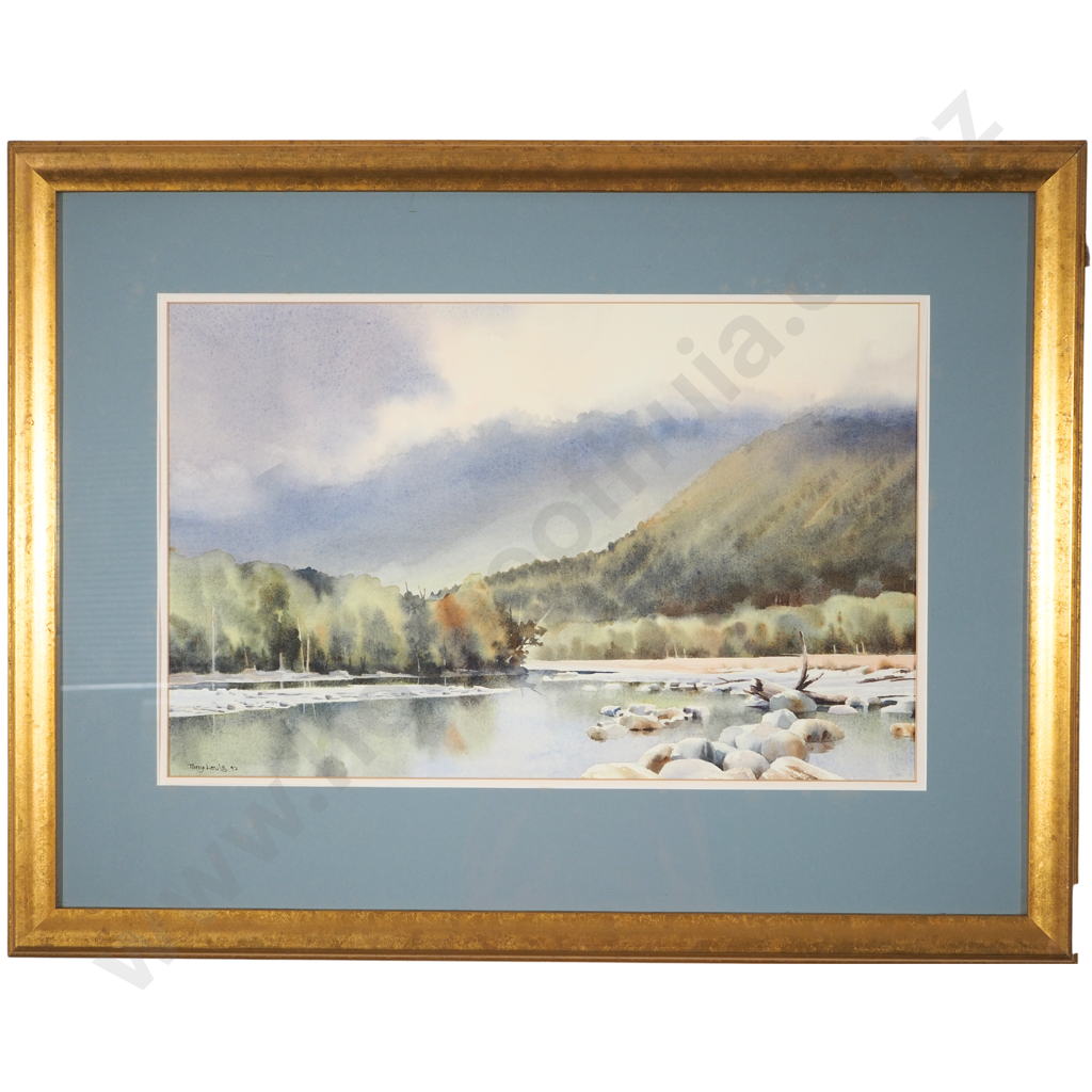 Tony Lewis 1992: West Coast Buller River Image 1++