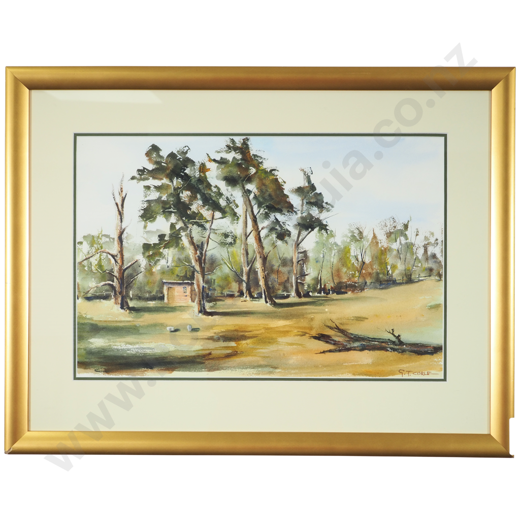 George Curle: Cornwall Park Image 1++